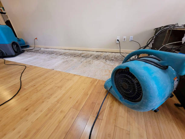 Professional Water Damage Repair technician working in Gasquet, CA